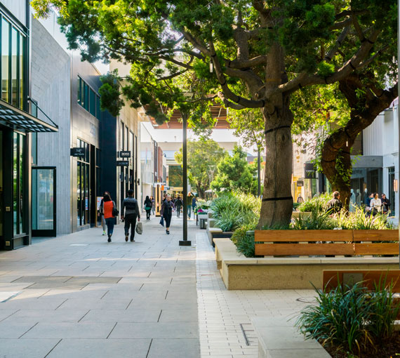 Projeto de Paisagismo